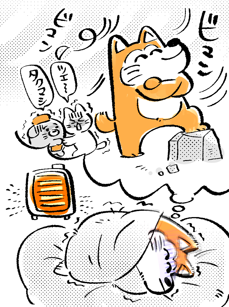 寒さに強い、とくいげいぬ💪 