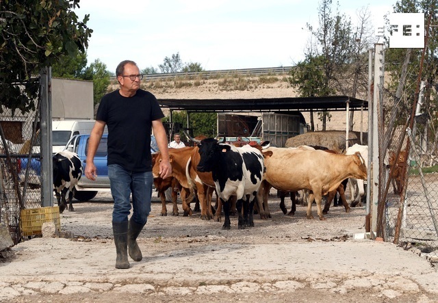 EFEnoticias's tweet photo. CRÓNICA | Testan el uso de vacas para impulsar los humedales como sumideros de carbono.

Por Ana Tuñas Matilla
https://t.co/3ugHTVQkV8 https://t.co/vS3BTT20Z0