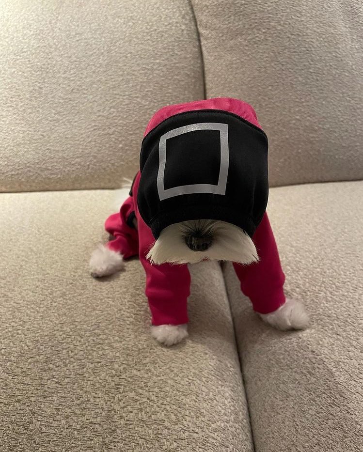 the lead of squid game s2 y’all