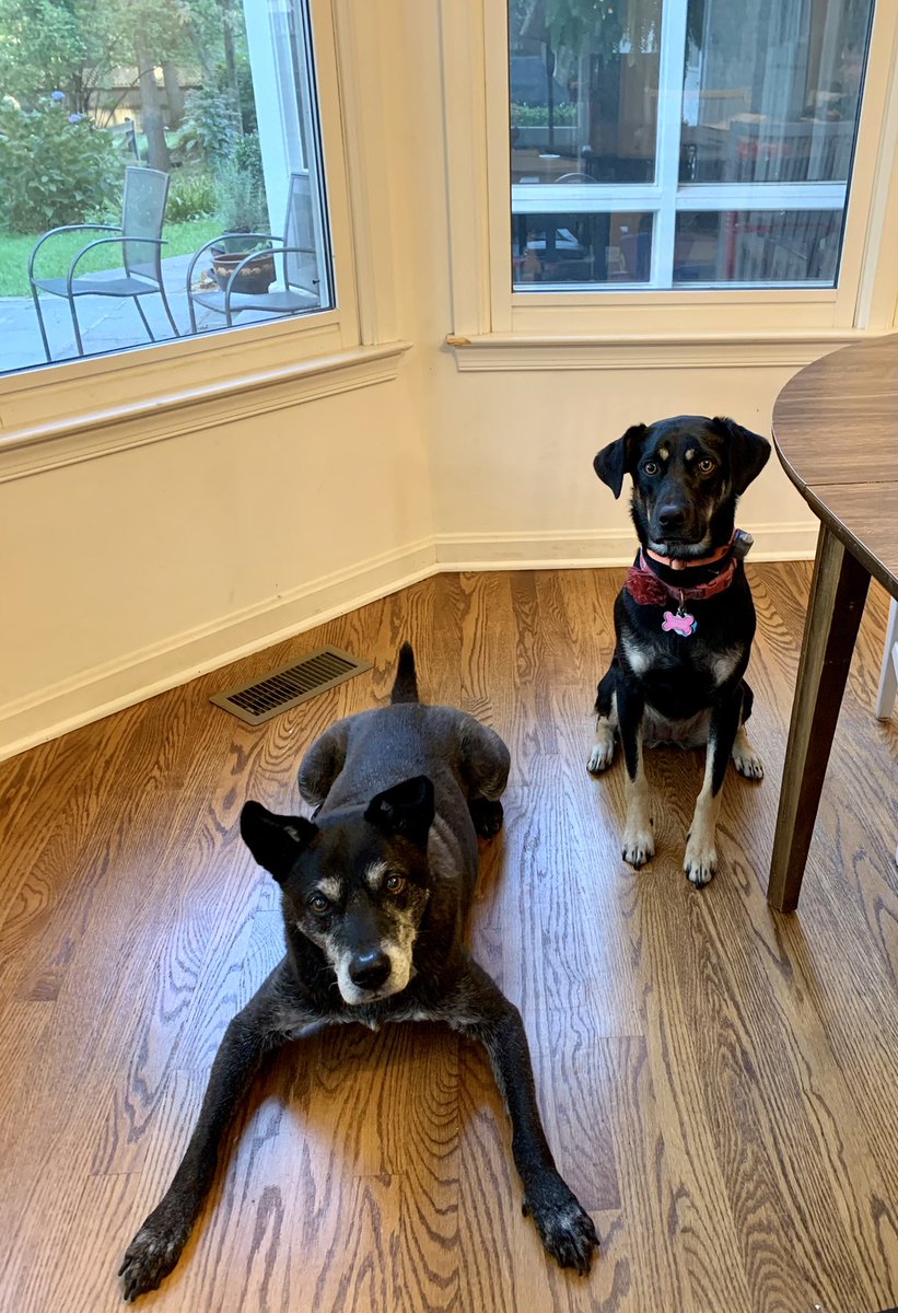 Meghan Adler, MS, RDN, FAND tweet media