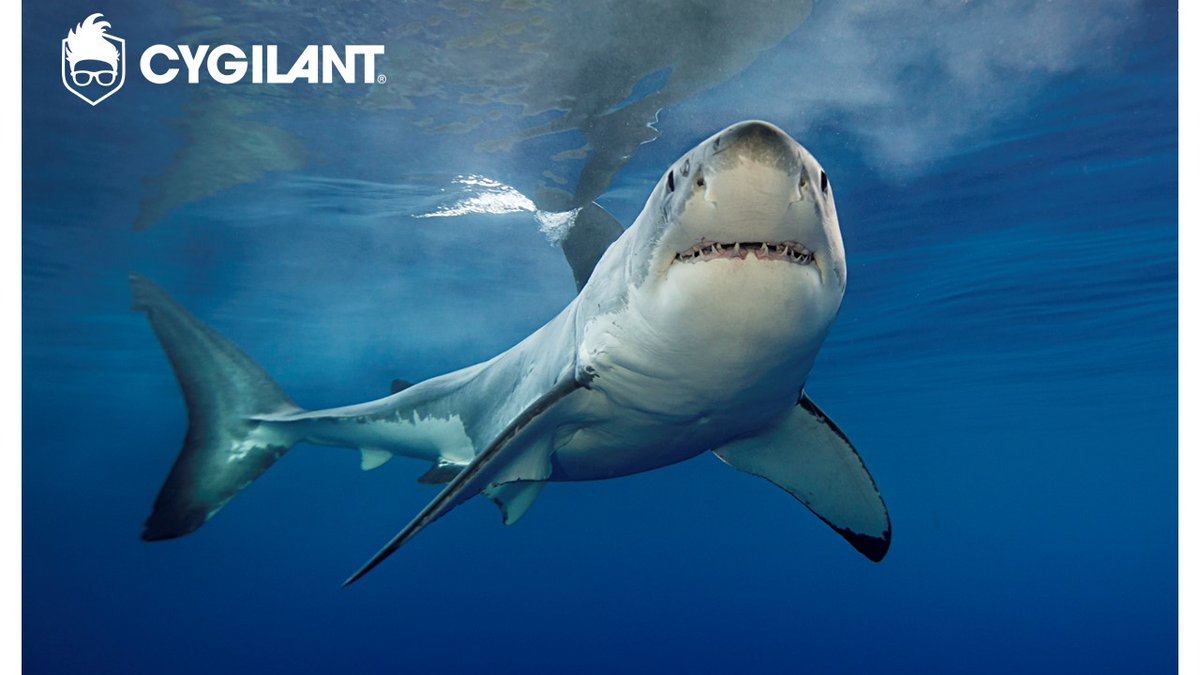 It's Cybersecurity AwarenessMonth: Fight the Phish!
Phishing can often lead to vulnerabilities that can result in ransomware or other types of malware. Cygilant can help protect your business. hubs.li/H0ZChrs0 #FightThePhish #Phishing #Ransomware #BeCyberSmart #CyberMonth