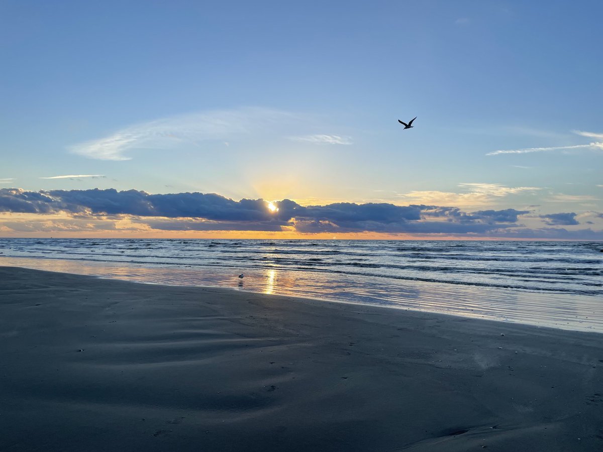 Dahna Hull tweet media