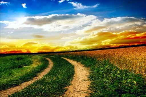 ChiaraGabellini's tweet photo. I nostri passi acquistano più valore e non sono sprecati se vengono condivisi con chi abbiamo la fortuna di amare...

#LaCuraAffettuosa
#VentagliDiParole https://t.co/L0NPAZ9SdL