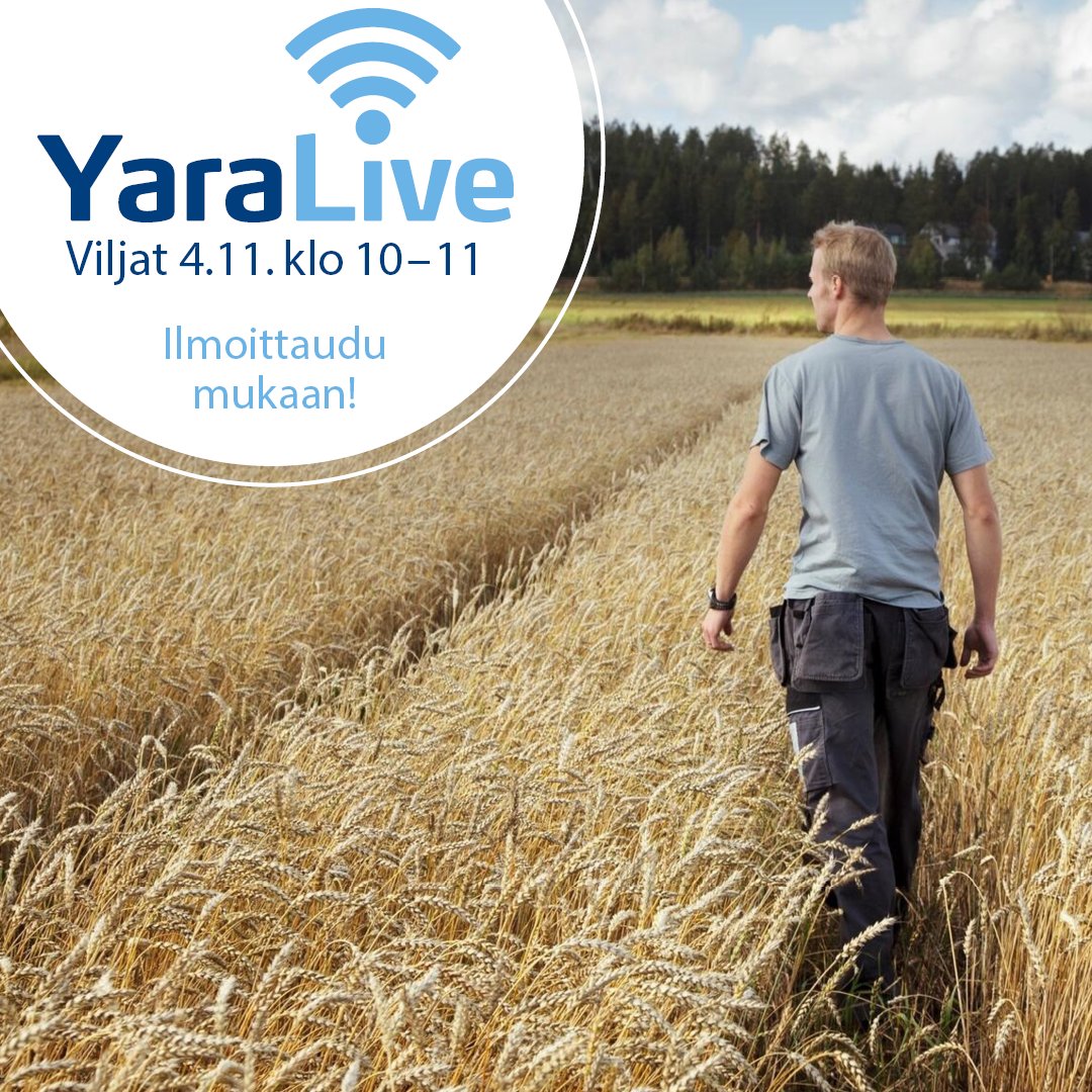 YaraSuomi's tweet photo. Tervetuloa syksyn ensimmäiseen #YaraLive-tietoiskuun 4.11.! Webinaarissa Yaran asiantuntijat Anna-Kaisa Salovaara ja Elina Seppä sekä Tony Erlands HKScanilta keskustelevat ravinteiden käytön tehokkuudesta #vilja'lle. 🌾Ilmoittaudu heti mukaan: https://t.co/FJdCDLGiRp https://t.co/73QKp1BMEE