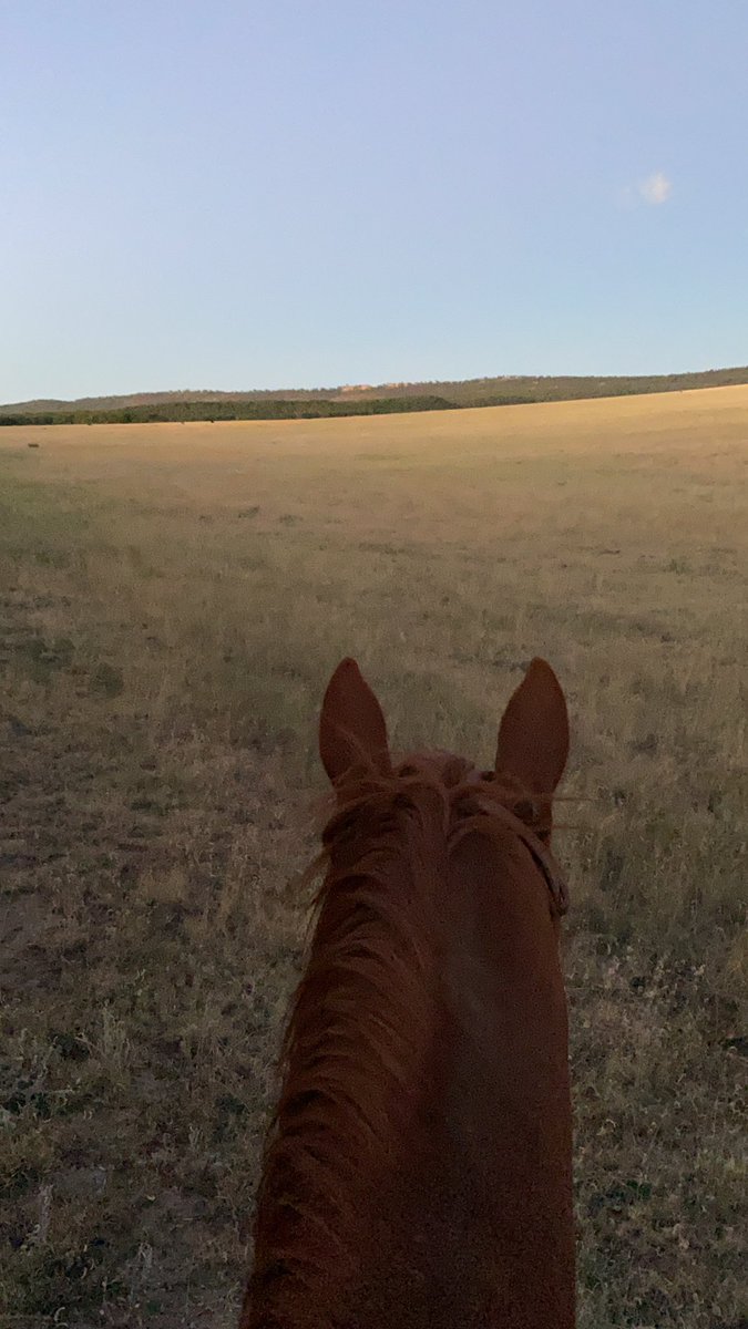 swhorn's tweet photo. Daybreak #fallworks #newmexico https://t.co/NFsYRQbHJC