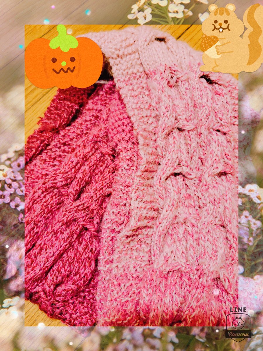 ayumi17572759's tweet photo. 去年編んだ🧣
#Wonderwool
#ワンダーウール
のスヌード
母親に色違いで
編もうかな🌺
#ユザワヤ
#編み物
#スヌード
#linecamera https://t.co/1DrrQNIUNO