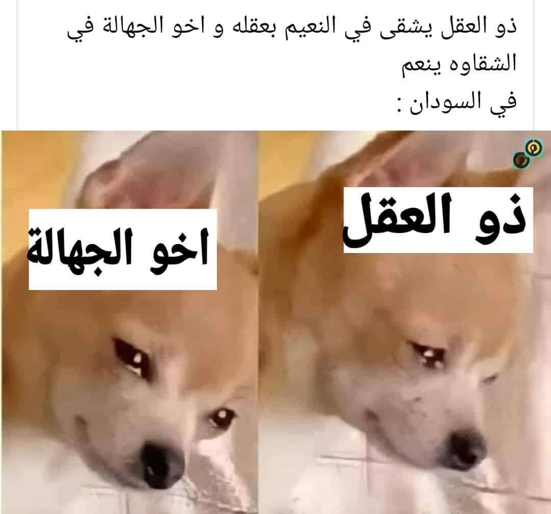 بينزو tweet media