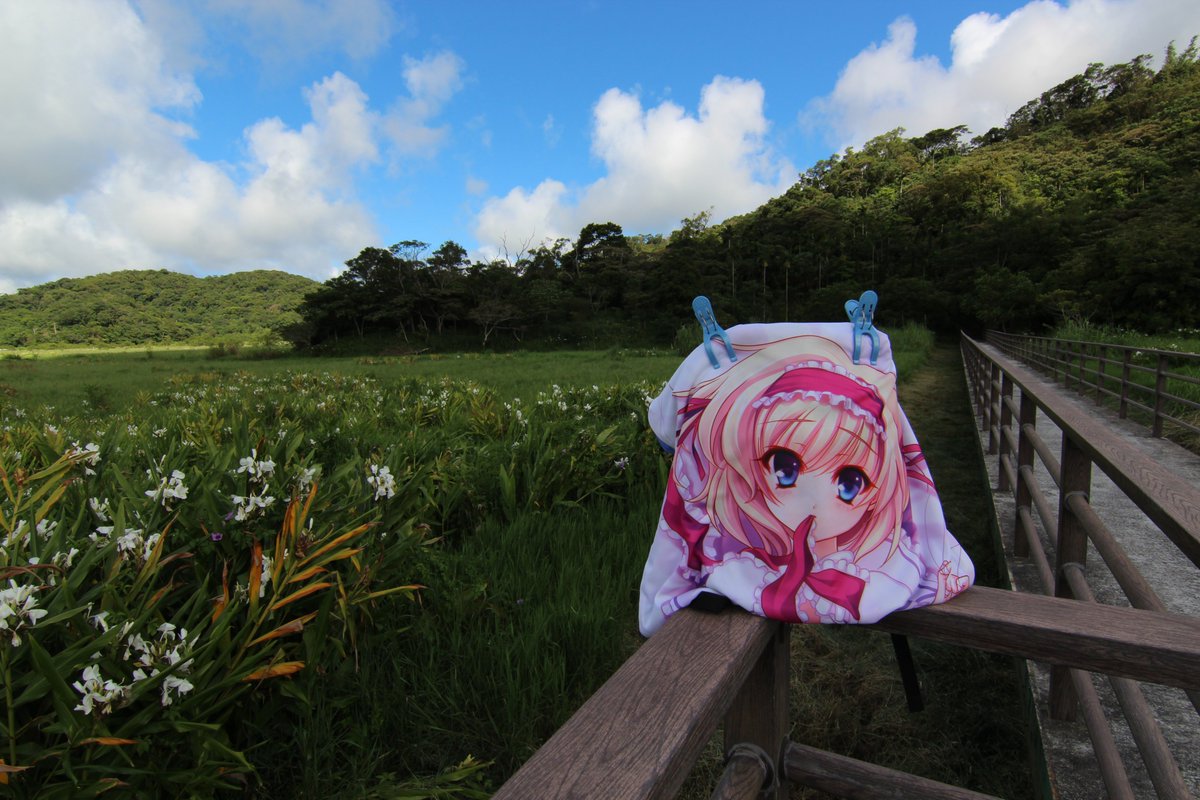 zxc33010's tweet photo. 外拍 牡丹鄉 9/23
屏東牡丹東源國家重要濕地
s-yin老師,繪畫アリス・マーガトロイド
#東方Project #TinyWave #屏東 #牡丹 https://t.co/GMpuNJo84e