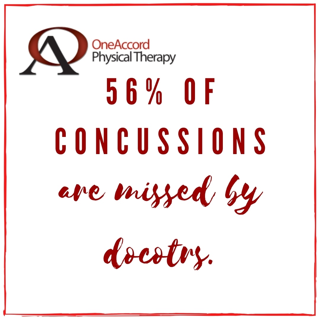 One Accord Physical Therapy tweet media