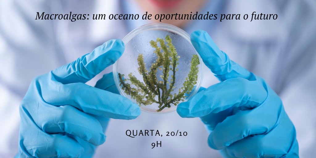 Peld Tams tweet media