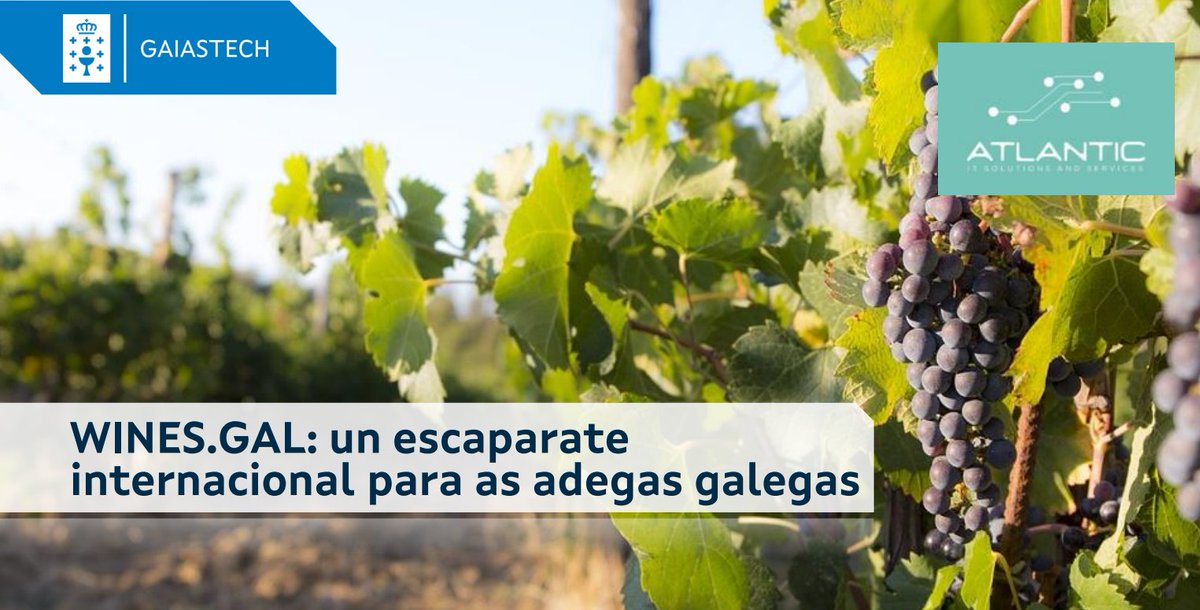 Centro GaiásTech tweet media