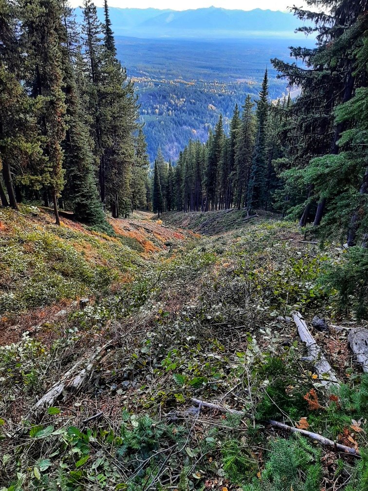 Our Brush Crew is still at it 🙌. Next up is Vortex!  A "natural half pipe" found deep in the Black Forest is a fun and popular run amongst the locals.  

Thank you Brush Crew and keep up the great work💯

#mykimberley