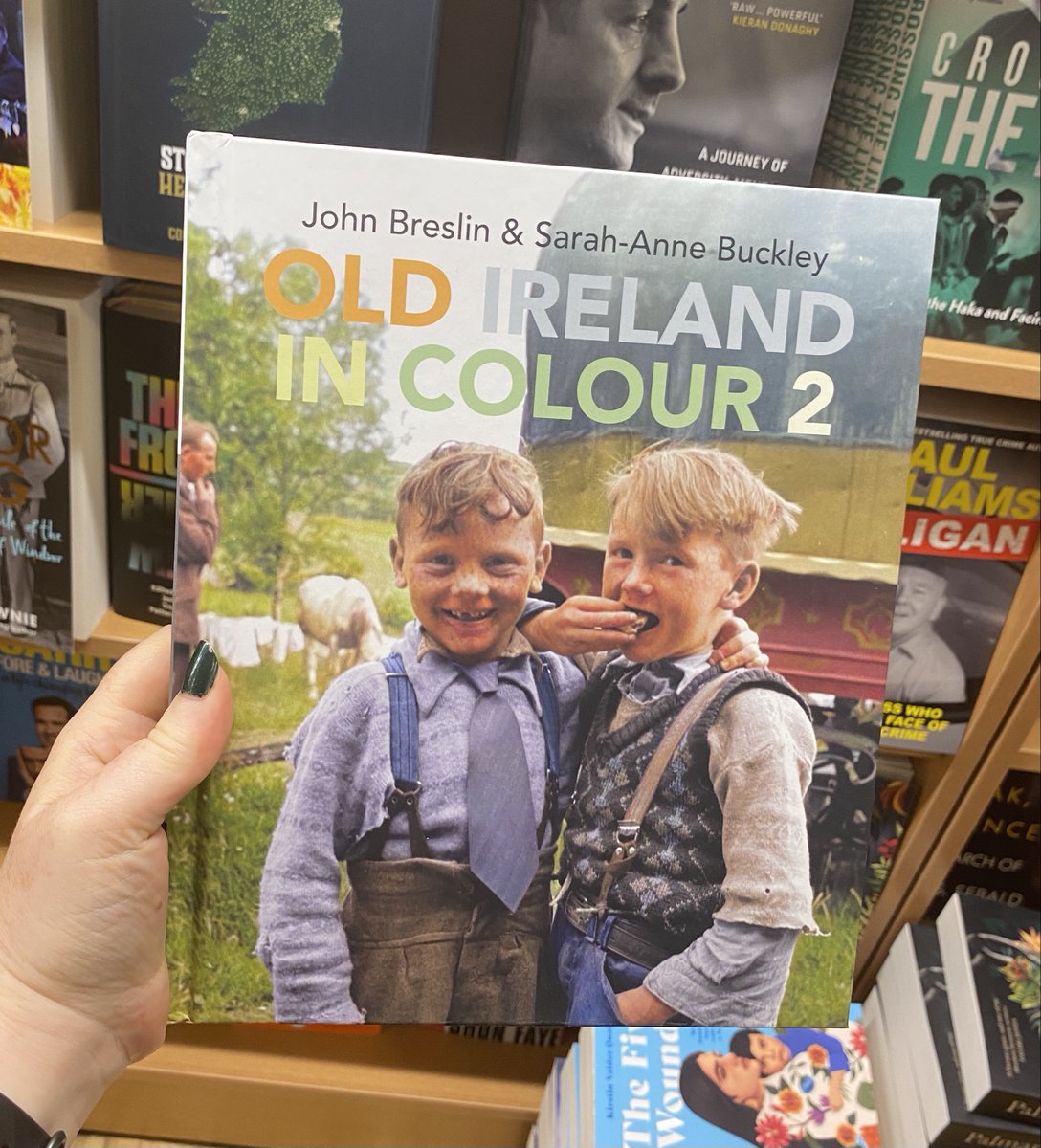 OMahonysBooks's tweet photo. For #IrishBookWeek we’ll be looking at some new Irish titles that we have in stock
#IrishHistory #IrishInterest #IrishAuthors #Booksellers #SportsBooks @BooksellingI https://t.co/9iqedCWjVC