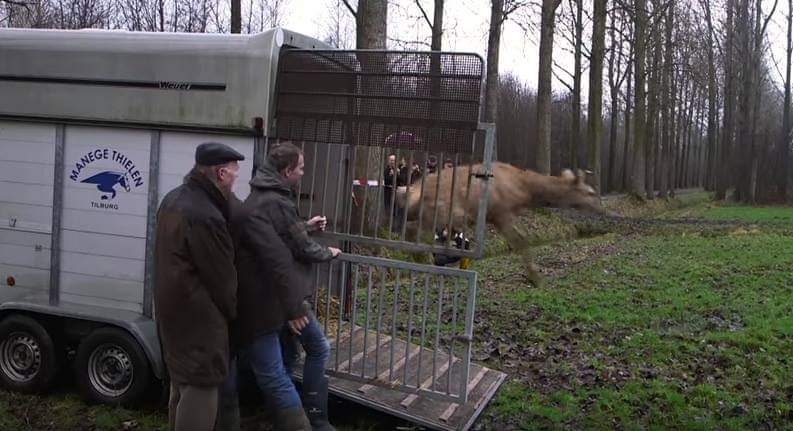 WBijsterveldt tweet picture