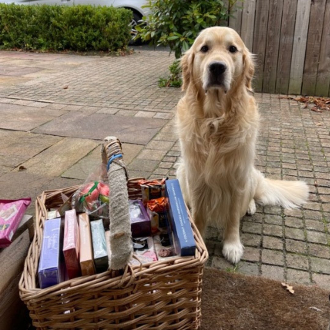 Ringtons's tweet photo. Meet new guy on the doorstep, George! 🐶
#PetsofRingtons https://t.co/QMRs4zjVzi