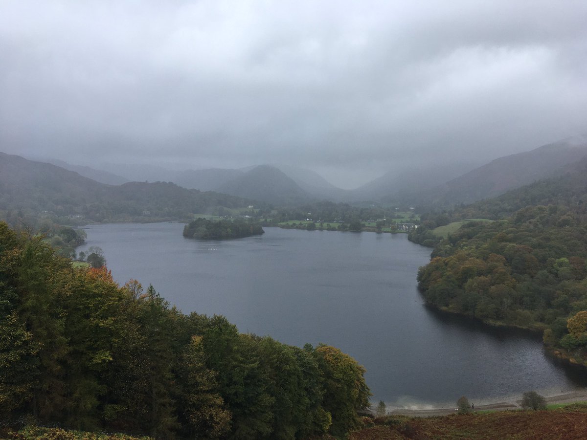 know research tweet media