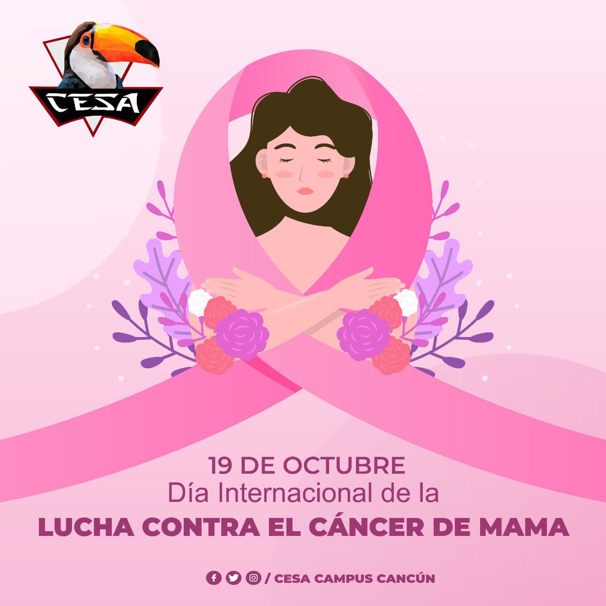 El Día Internacional de lucha contra el Cáncer de Mama se realiza con el objetivo de crear conciencia y promover que cada vez más mujeres accedan a controles, diagnósticos y tratamientos oportunos y efectivos.
#DíaContraElCáncerDeMama #SúmateAlRosa #DíaCancerDeMama