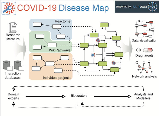reactome's tweet photo. Just published! Read about our efforts as part of large international #communitycuration #COVID19 Disease Map group in @MolSystBiol https://t.co/9NTr2pESDw. Congrats to all involved! #SysBiol #covidpathways #bioinformatics #dataviz #biology #SARSCoV2 https://t.co/9fkuhwEjJl