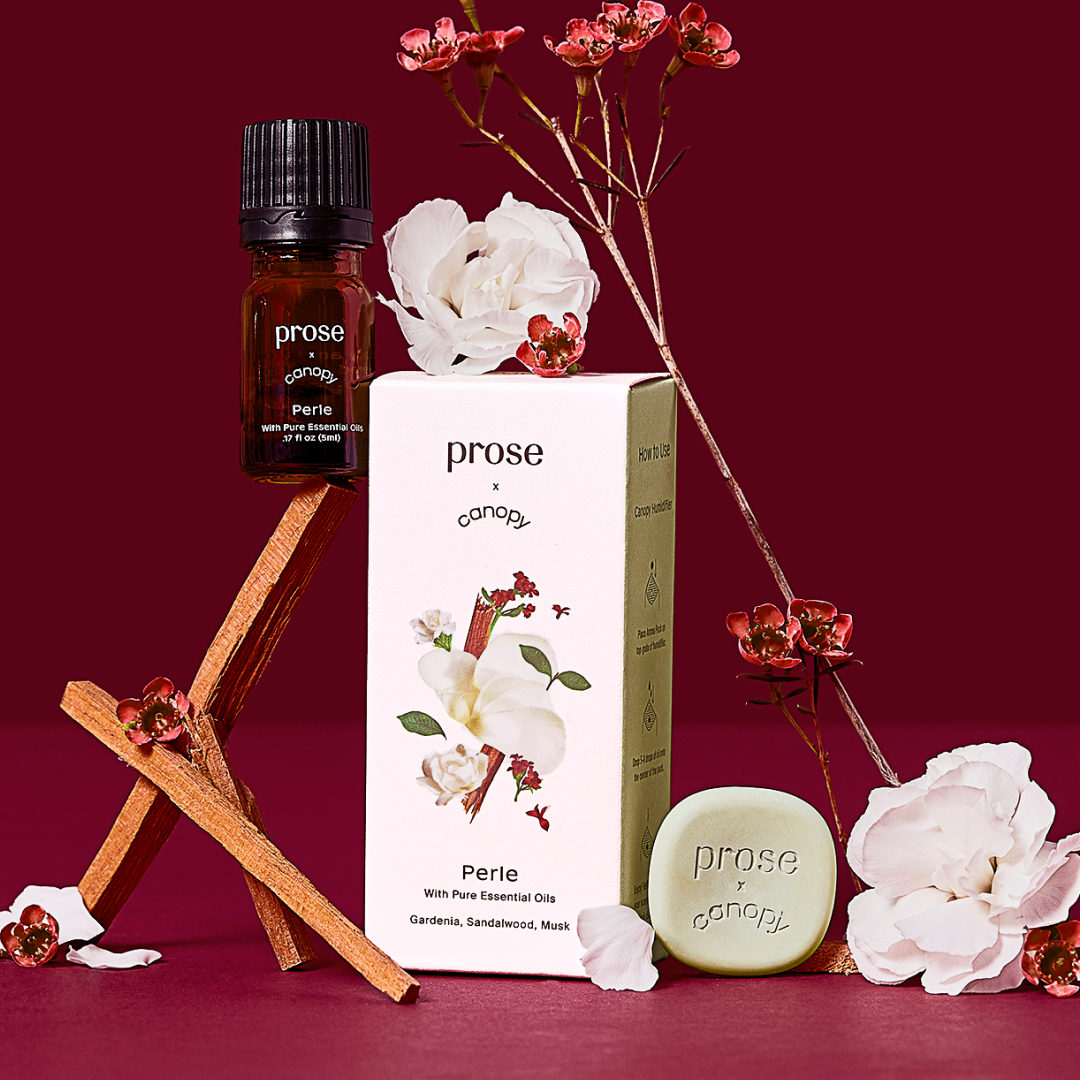 proseofficial's tweet image. Meet the Limited Edition Prose Aroma Kit, in partnership with @get_canopy, &amp;amp; featuring 3 of Prose's handcrafted fragrances:
🍋 Arcadia
🌿 Botanica
🌼 Perle:
Try the new trio with Canopy's humidifier: try.prose.com/ProsexCanopy