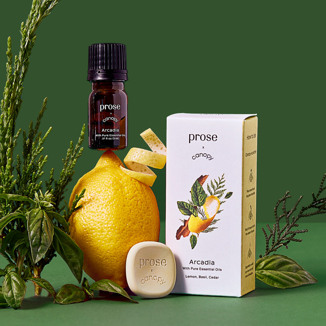 proseofficial's tweet image. Meet the Limited Edition Prose Aroma Kit, in partnership with @get_canopy, &amp;amp; featuring 3 of Prose's handcrafted fragrances:
🍋 Arcadia
🌿 Botanica
🌼 Perle:
Try the new trio with Canopy's humidifier: try.prose.com/ProsexCanopy