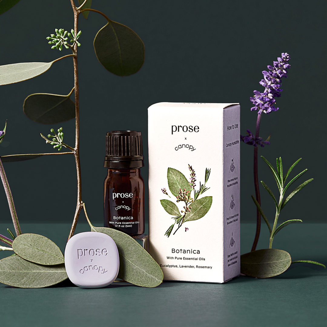 proseofficial's tweet image. Meet the Limited Edition Prose Aroma Kit, in partnership with @get_canopy, &amp;amp; featuring 3 of Prose's handcrafted fragrances:
🍋 Arcadia
🌿 Botanica
🌼 Perle:
Try the new trio with Canopy's humidifier: try.prose.com/ProsexCanopy