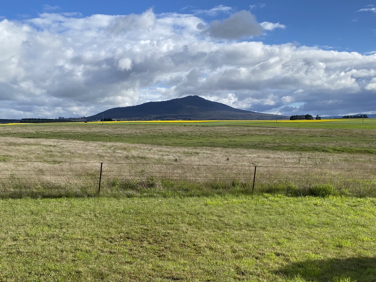 bradnhaz's tweet image. Delegate Hill