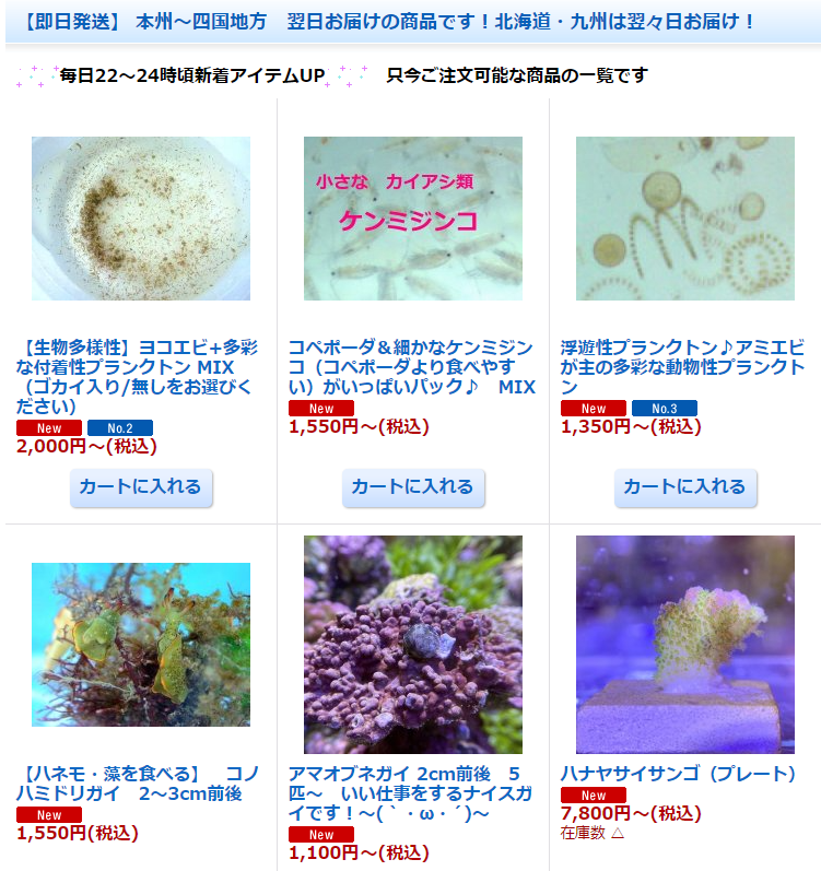 海をお手本にしたアクアリウム シュリンプ 21日 木 お届け分が入荷しました バランスの取れたプランクトンを水槽 へ 色々な生物層が水槽を強化してくれますよ T Co H6ge01woim プランクトン 微生物 アミエビ ヨコエビ 活餌