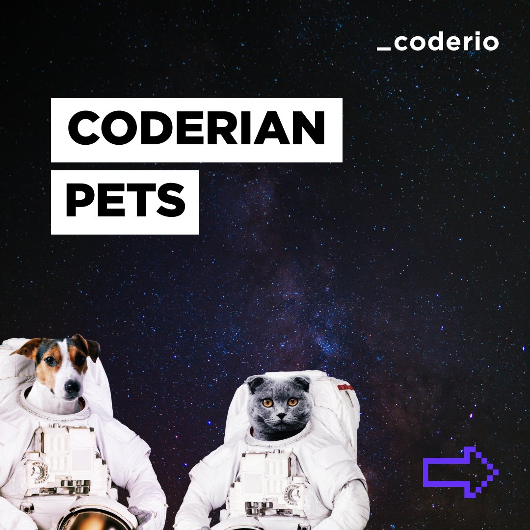 coderio_'s tweet photo. Cause sharing photos of our pets it's a passion, we introduce you some of the principal members of this interspecies family 🐱🐶 Check out our post in Instagram 👉 https://t.co/3NooejwcYH #PlanetaCoderio #pets #family #doglover #catlover #dogs #cats #dreamjob https://t.co/dIqwejksLO
