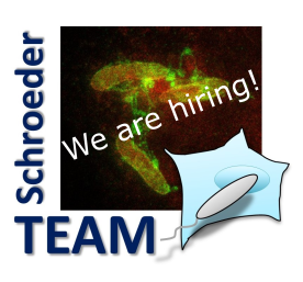 gunnar_ns's tweet photo. New link - We search an enthusiastic #postdoc for a 3-year @BBSRC -funded project to help us revealing how #bacteria (#Legionella) subvert their hosts @WWIEM_QUB . Cool project in cellular #microbiology #biochemistry App details: https://t.co/vh7PZmLaDx DM me for info. RT please! https://t.co/LG6QqHCBjQ