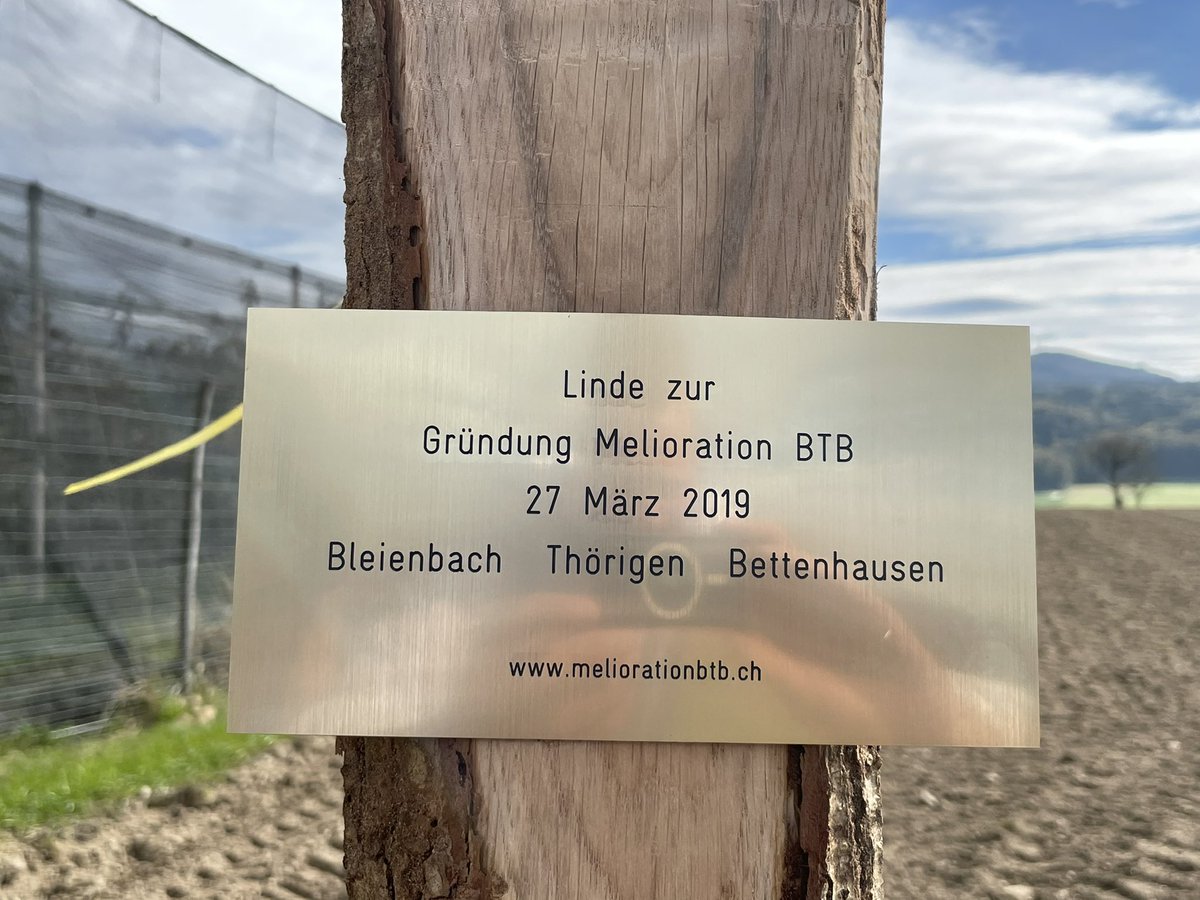Eine Eiche als Grundstein der Gesamtmelioration Bleienbach-Thörigen-Bettenhausen. <a href="/CHblw/">BLW - OFAG - UFAG</a> <a href="/kanton_bern/">Kanton Bern</a> <a href="/BernerZeitung/">Berner Zeitung</a> <a href="/derbund/">Der Bund</a>