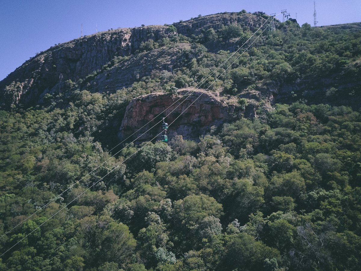 Just a reminder that we are now closed on a Monday and a Tuesday, and open for the remainder of the week 🥳.

Don't forget you can book your tickets online here 👉🏼 hartiescableway.activitar.com/services/3065