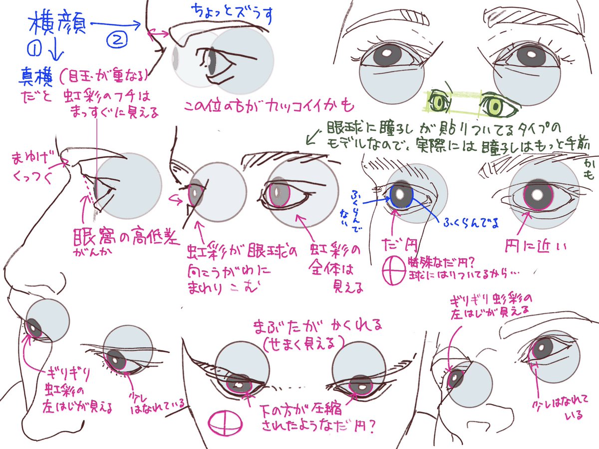 顔シリーズ(目)
今日はアプリのモデルをトレスして観察
年内には鼻の向こう側の目をマスターしたいところ
 #日々描く 