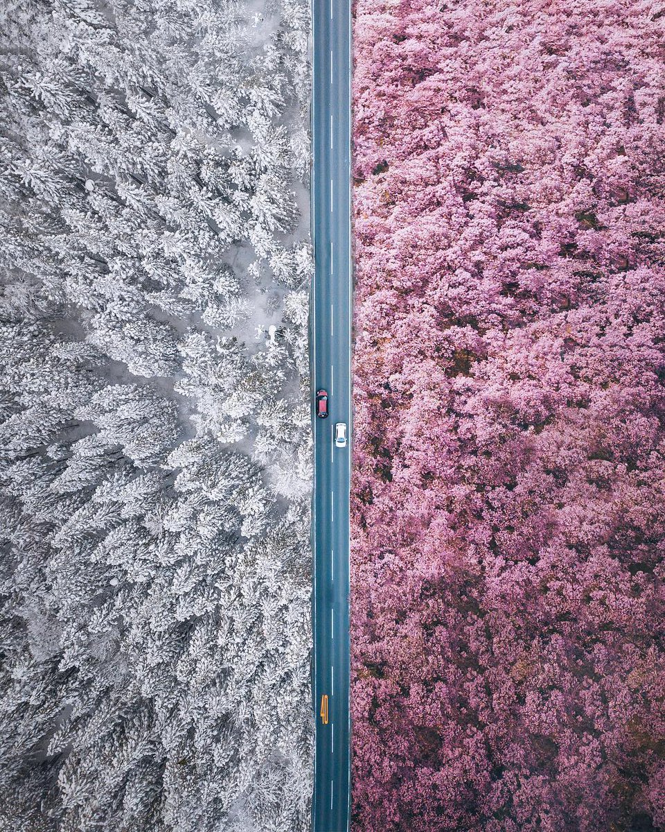LaImaiMessina's tweet photo. «serve tuttavia accettare l’idea che sia l’incertezza (e non la convinzione) a guidarci: non saperne nulla di nulla, e pensare che vada bene cosí»

da «Le vite nascoste dei colori» @Einaudieditore

📷 @hirokingraphy https://t.co/oNXbQEi2Bz