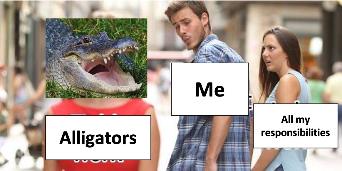 Laura 𓆌 tweet media