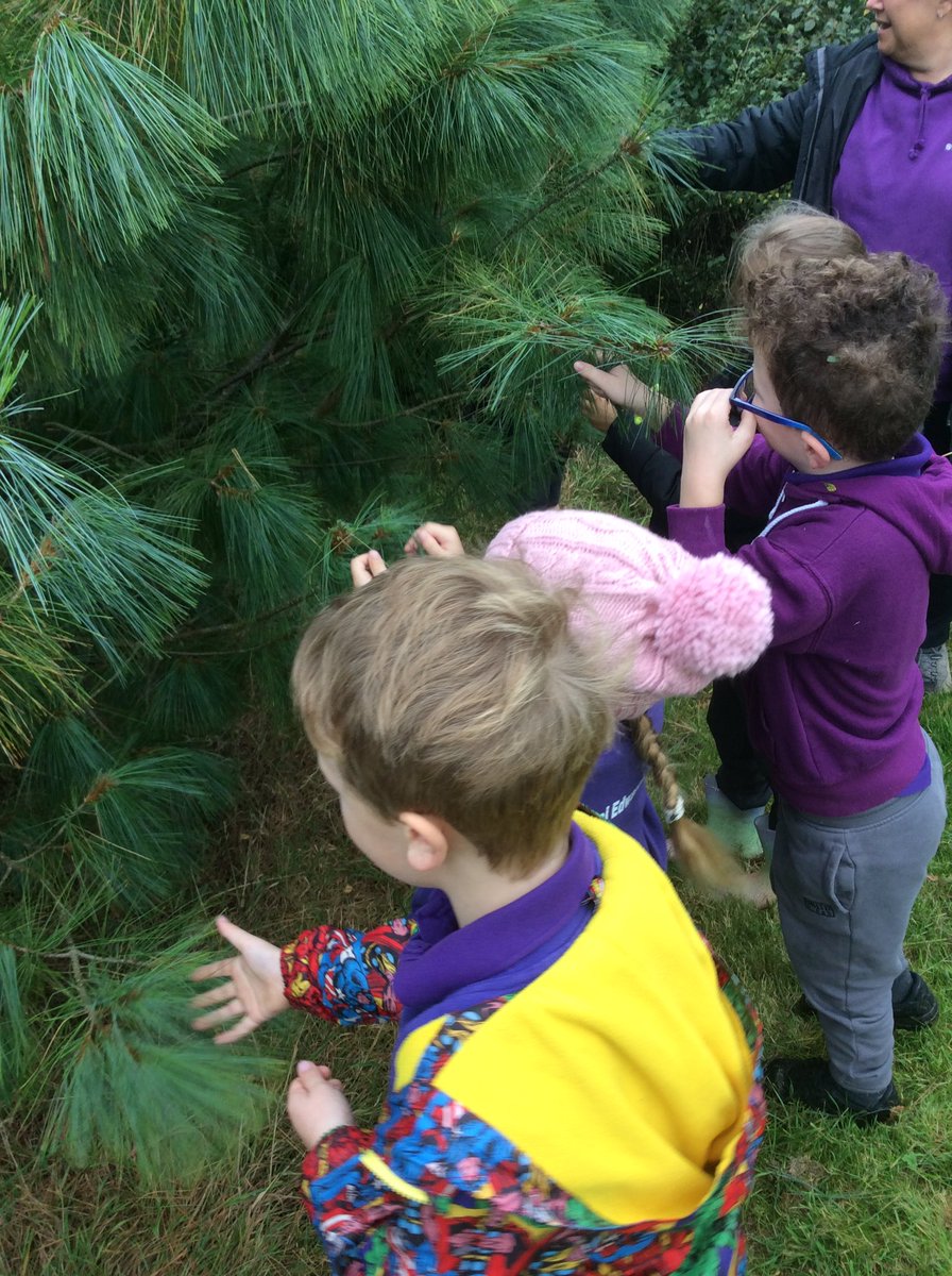 St Andrew’s Primary Thrive Nest 🌈 tweet media