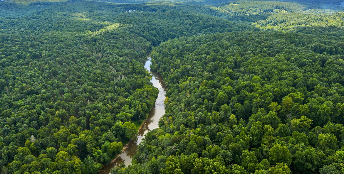 chesapeakebay's tweet photo. Forested streamside buffers filter sediment from streams, stabilize streambanks, shade and modify stream temperatures, sequester carbon to help mitigate greenhouse gas emissions, and reduce downstream flooding. #BufferBanter 🌳 https://t.co/r5NDUtnnV6

📷: John Pavoncello https://t.co/7qmtY78VkF