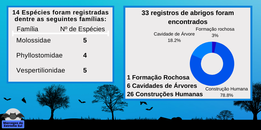 morcegosdosul's tweet photo. [3/5] #CMBT2 #EcoAbrigos
Não foi encontrado nenhum artigo cujo tema central fosse a utilização de abrigos por morcegos. Foram encontrados oito artigos com registros de abrigos dentro do Pampa no RS, e quase 80% dos abrigos foram registrados em construções humanas. https://t.co/v2Fh9YdIXI