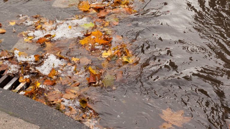 PGCountyDPWT's tweet photo. Help prevent flooding in your community by making sure storm drains are clear of leaves, sticks, and other debris. If you see a storm drain in need of repair, call 311 or visit https://t.co/VMYYP4QsF4. https://t.co/op9r2WzLY2