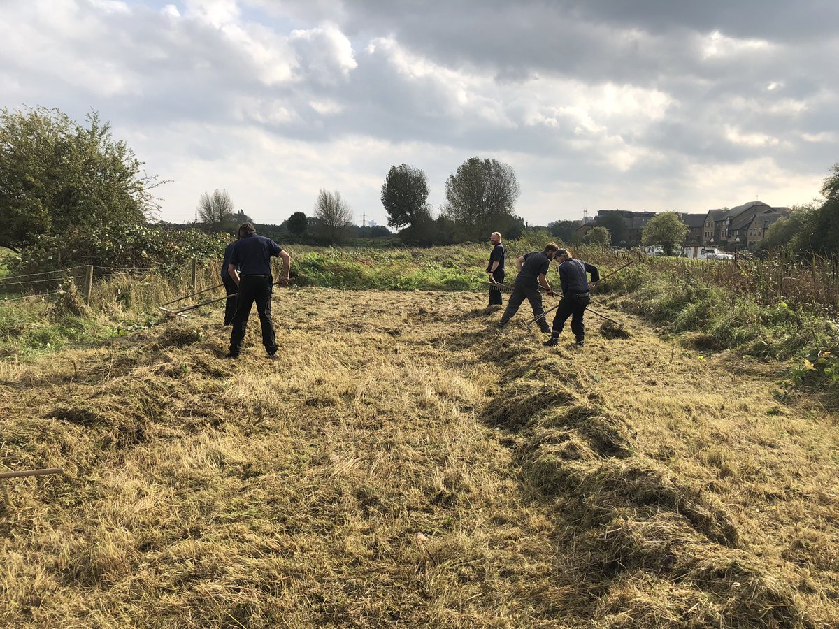 lhyde2017's tweet photo. #TeamTask @LeeValleyPark #WalthamstowMarshes meadow cutting, raking then removed for habitat piles and clearing bramble off the fence line ๐ช๐ผ #RangerLife ๐ฎโ๐จ https://t.co/fOVnLVrLdK