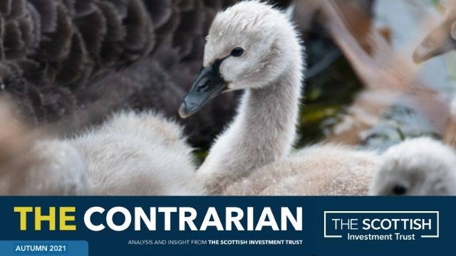 The Scottish Investment Trust PLC tweet media