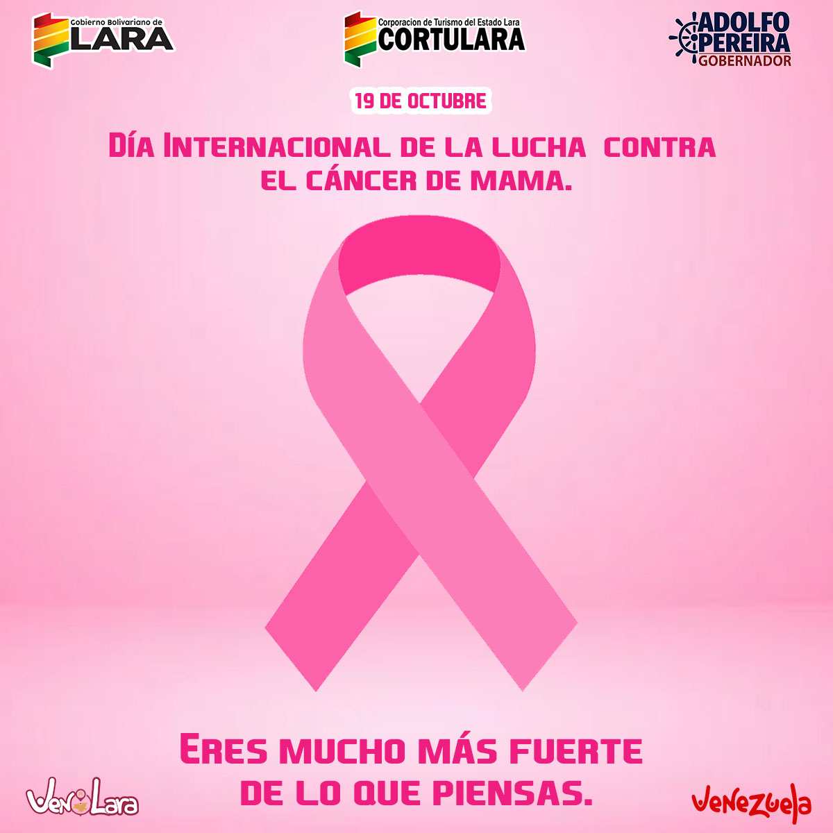 Cortularagob's tweet photo. #19Oct. Se celebra el día Mundial de la muchas contra el Cáncer de mama con el objetivo de crear y promover que cada vez más mujeres accedan a controles, diagnósticos y tratamiento oportunos y efectivos.
.
.
.
#VenALara 
#TurismoLarense 
#TodosPortiLara 
#Venezuela https://t.co/lh9o3OBXCl