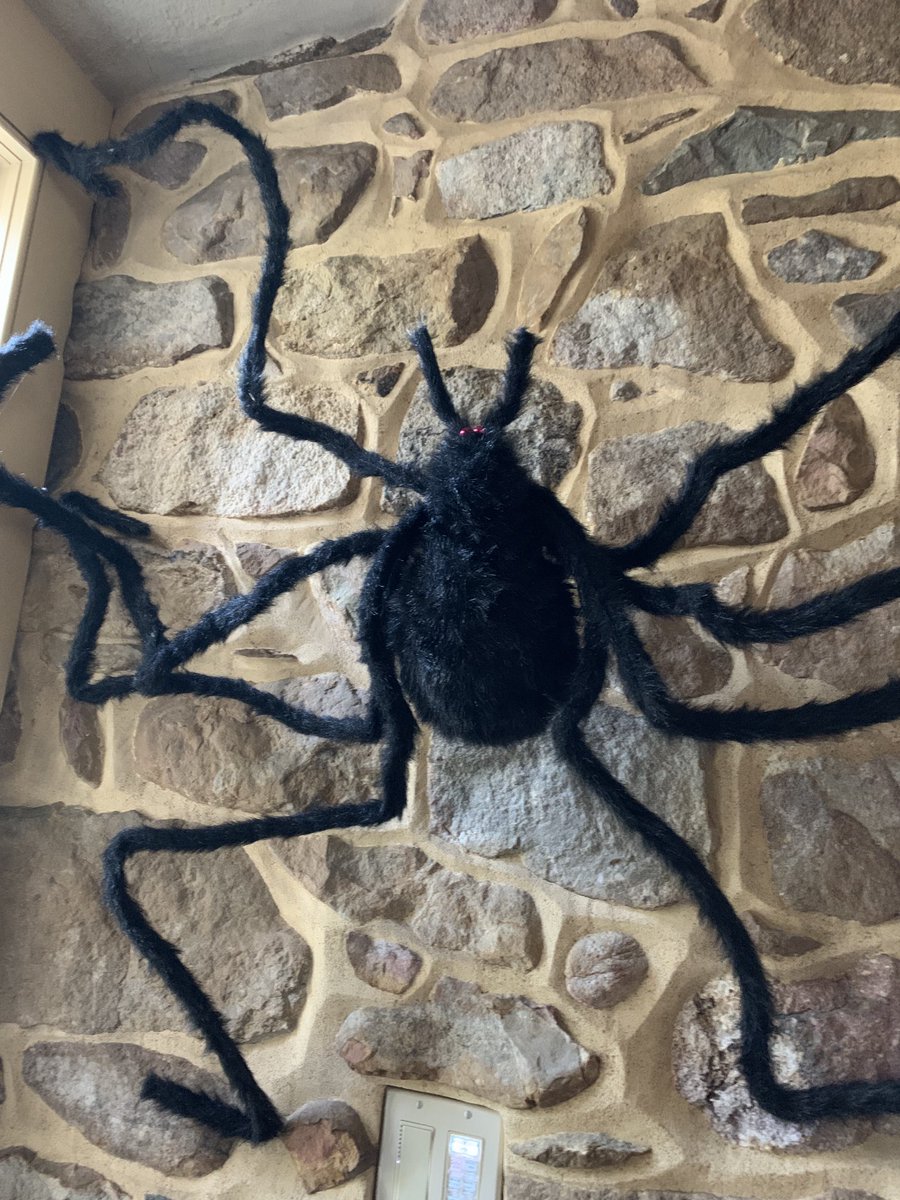 john_jlich's tweet photo. I think it’s time for a new exterminator https://t.co/irDz8ILqjY
