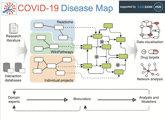 Annaerial's tweet photo. Our collective efforts paid off! Happy to see the COVID19 Disease Map published in Molecular Systems Biology! @CovidPathways, @Reactome, @WikiPathways and the whole C19DM community - thanks for your enthusiasm and hard work! 
https://t.co/fwltWDZ12j https://t.co/RRCq8Nx1XC