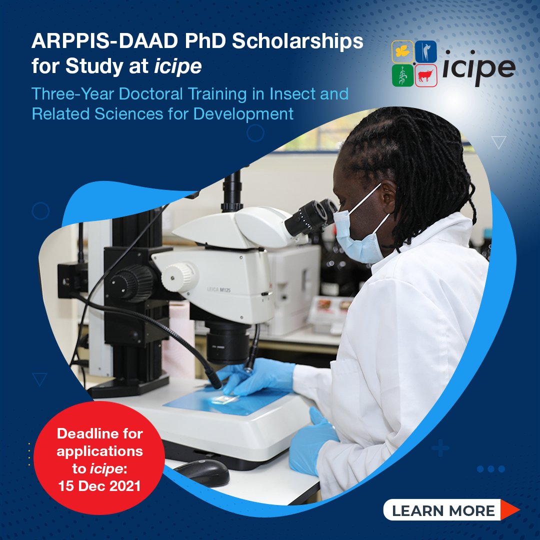 icipe's tweet image. Seven #PhD #scholarships are available in the African Regional Postgraduate Programme in Insect Sciences (ARPPIS). @icipe offers these scholarships in partnership with @DAAD_Germany and African university partners. Further details:  icipe.org/news/arppis-da…
#research #insects