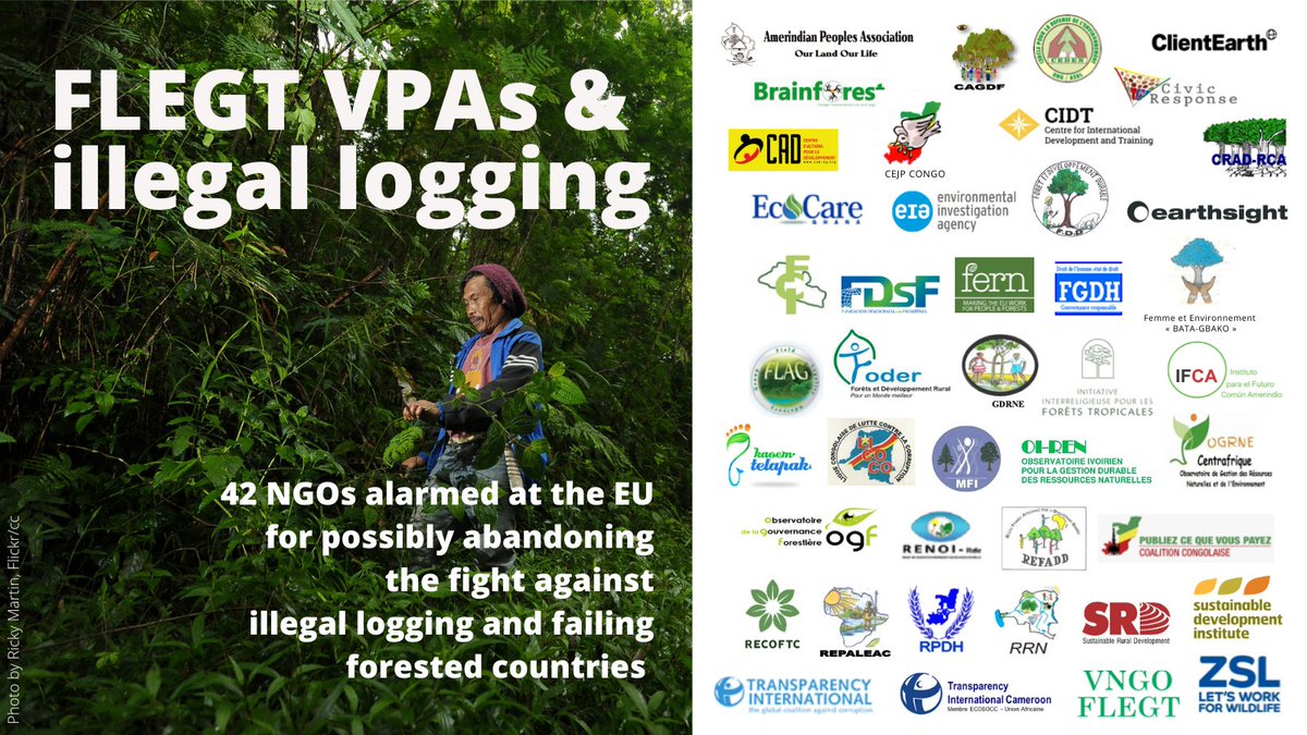 42 NGOs &amp; civil society organisations around the 🌍 are concerned that the EU may consider repealing #FLEGT #VPAs. They call on the <a href="/EU_Commission/">European Commission</a> to maintain its support to these key legal instruments to fight #illegallogging.

Read our letter here: fern.org/publications-i…