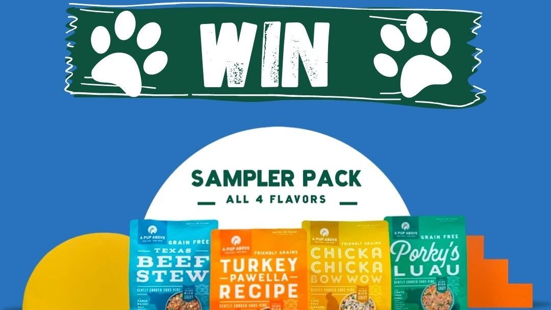 Have you entered? 👀Hurry! Only 14 days left.

Entry link: gleam.io/CcRNd/win-a-ta…

#Giveaways #Giveaway #dogs #dogsoftwitter