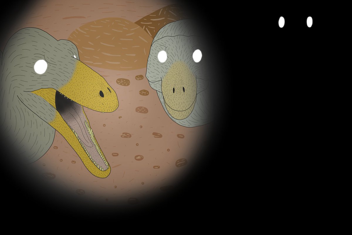 Ironzinho's tweet photo. 🎃Paleoartes especiais de Halloween galerinha!🎃

Esses são o Neovenator, Spinosaurus, Tsaagan e Saurornithoides

#Halloween #Paleoart https://t.co/kapy7AEqn4