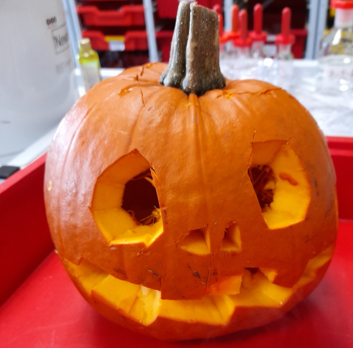 BethanyScience tweet media