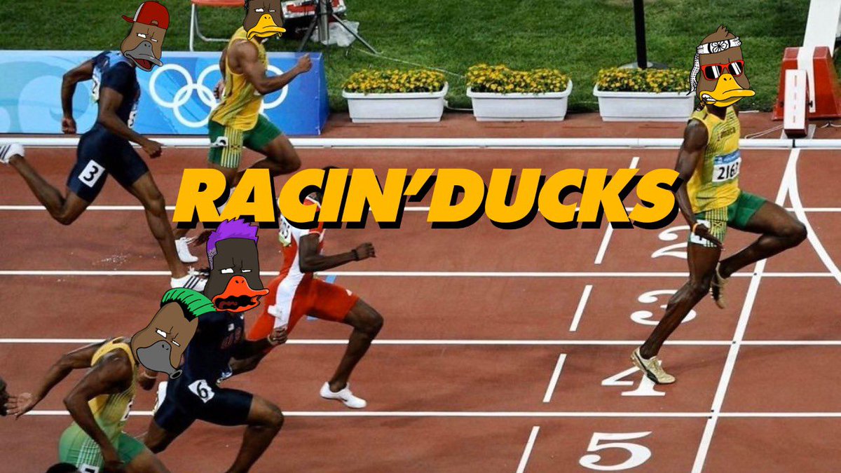 Nonconformist Ducks tweet media