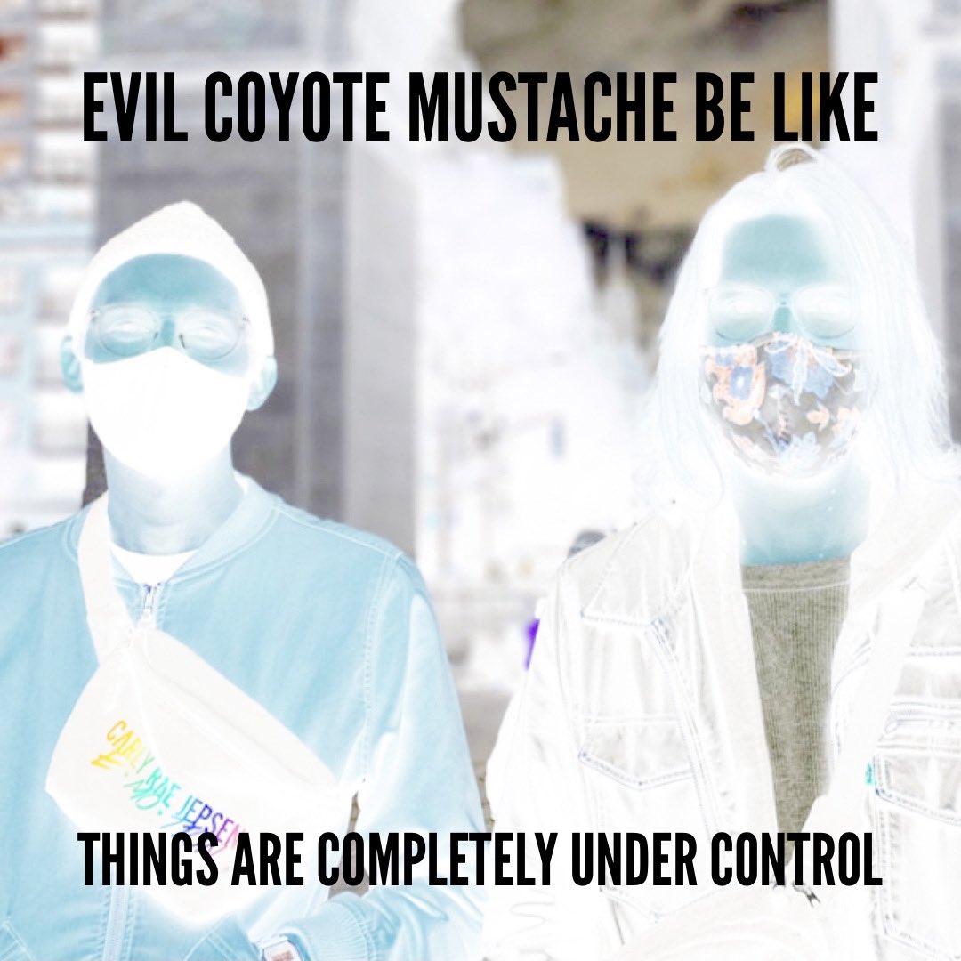 Coyote Mustache (@coyotemustache) on Twitter photo 